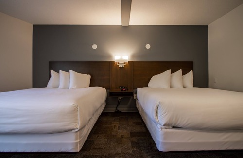 Mayo Hotel | Bedrock Motel