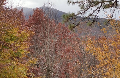 Black Mountain Cabin | Beech Creek Cabin, Black Mountain