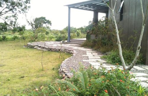 Jiaoxi House | Beetles Forest