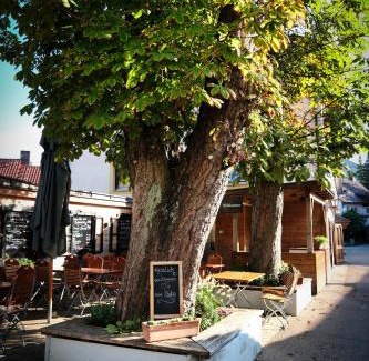 Worth an der Donau Hotel | "beim Butz"
