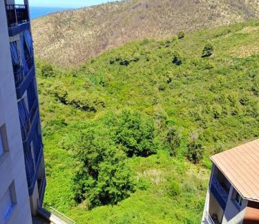 Bejaia Apartment | BEJAIA Location Appartements de 49 à 69eur