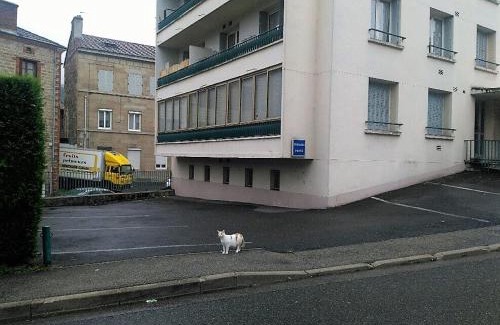 Terrenoire Apartment | Bel appartement a vivre