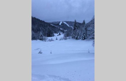 La Bresse Apartment | Bel appartement neuf équipé au pied des pistes du HONHECK
