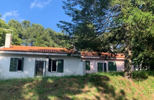 Felgar House | Bel Douro