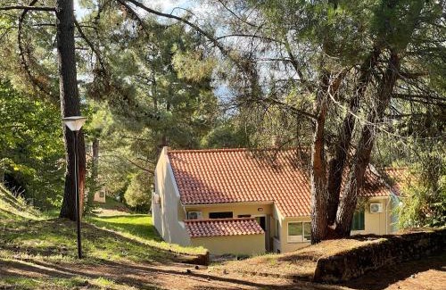 Felgar House | Bel Douro