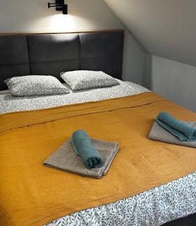Kopaonik Apartment | Bela Reka C308