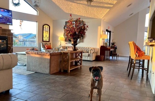 Willis Cabin | Belas Resort Tiny Home #102