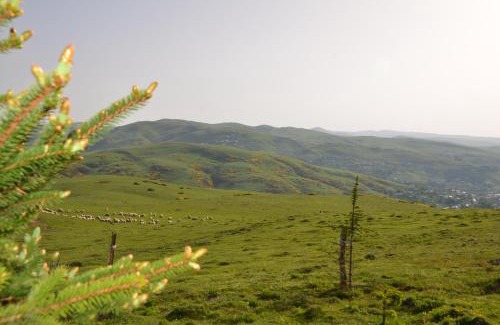 Aybastı Hotel | Belen Yayla Otel