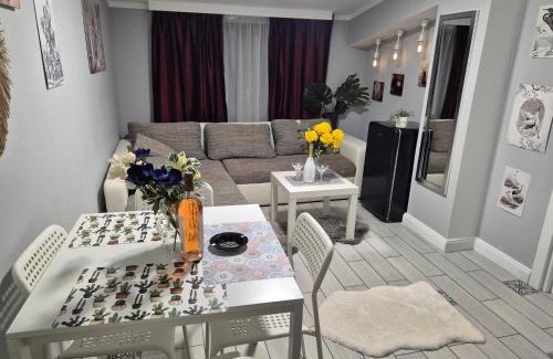 Craiova Apartment | BELLA Luxury Penthouse with outside JACUZZI and Barbecue area