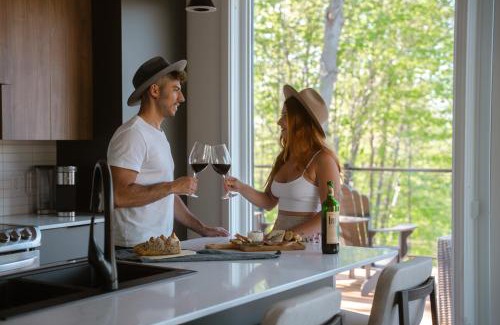 La Conception Ski Chalet | Bellaria with SPA near Mercier Lake