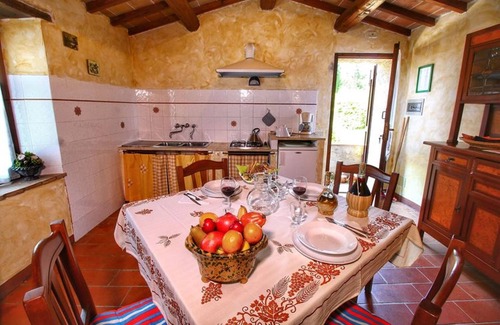 Radicondoli Other | Bellavista farm of Quercini Maurizio