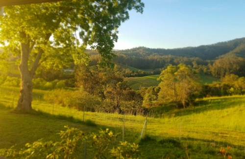 Missabotti House | Bellbowra Farmstay - Pet Friendly - Nambucca Valley