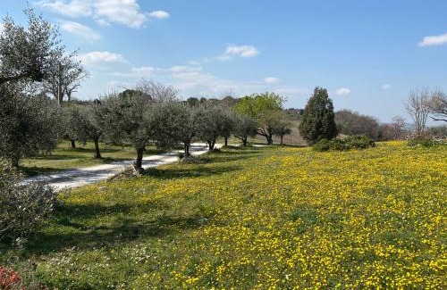 Civitanova Marche Bed & Breakfast | Belle Marche