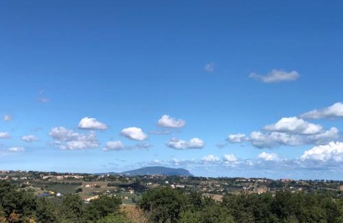 Civitanova Marche Bed & Breakfast | Belle Marche