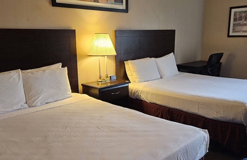 Cornwall Park Hotel | Bellis Inn