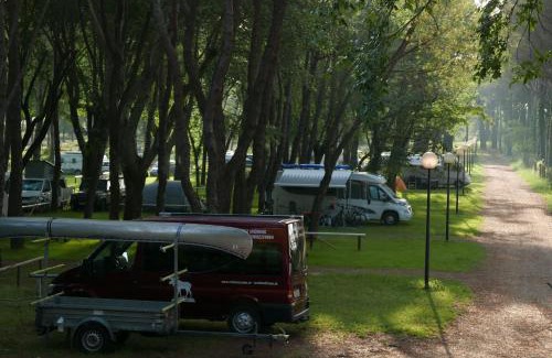 Aquileia Resort | Belvedere Pineta Camping Village Grado