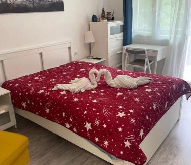 Baile Herculane Apartment | Belvedere