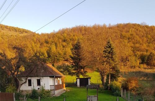 Erdohorvati Apartment | Berényi apartman