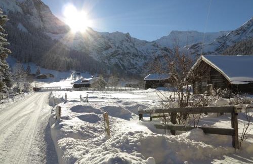 Adelboden Apartment | Bergdohle