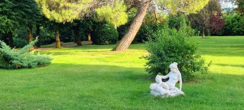 Saint-Laurent-des-Vignes Bed & Breakfast | Bergerac Chambre d'hôte oiseaux de paradis