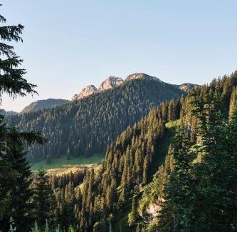 Rottach-Egern House | Berghotel Altes Wallberghaus