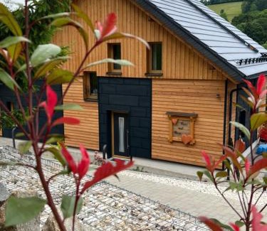 Breitenbrunn/Erzgeb. House | BergNest Ferienhäuser "Haus mit Herz"