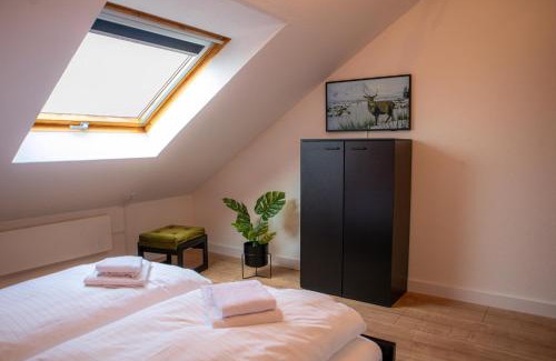 Niedersfeld Apartment | Bergpanorama