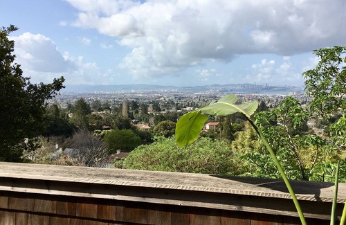 Claremont Hills House | Berkeley Hills House in The Claremont ~ Spectacular Golden Gate Views