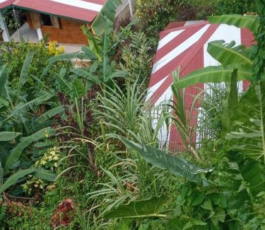 Fond Cani House | Berkey's Jungle Paradise