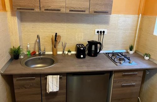 Arad Apartment | Berki home