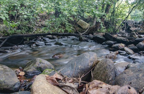 Young Harris House | Berrey Patch is a private cabin on Nice Flowing Creek and a pond. Internet.