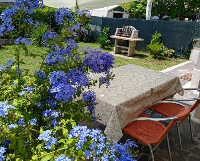 Cavallino-Treporti Apartment | Berto's house tra mare e laguna