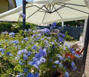 Cavallino-Treporti Apartment | Berto's house tra mare e laguna