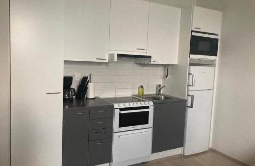 Jyvaskyla Apartment | Best location city center studio with balcony and free parking Kotimaailma apartments