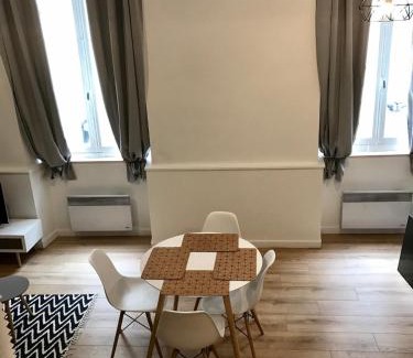 Dobree-Bon Port Apartment | Best location near Place Graslin, elephant - up to 4 people - City Nantes