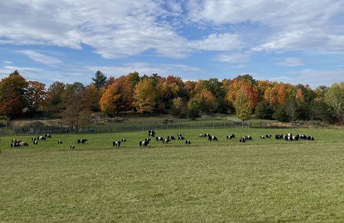 Charlotte House | Best of Vermont: 3 bedroom on 10 acres