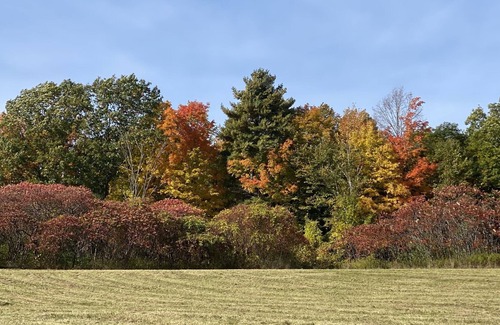 Charlotte House | Best of Vermont: 3 bedroom on 10 acres