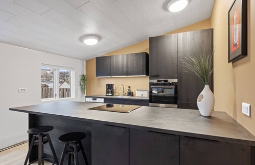 Downtown Apartment | Best Possible Location: Laugavegur Luxury Loft