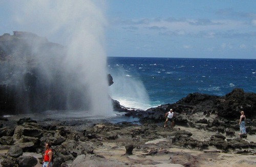 Kapalua Condo | Best Swimming in the World Across the Street; Best Golf Out the Back Door!
