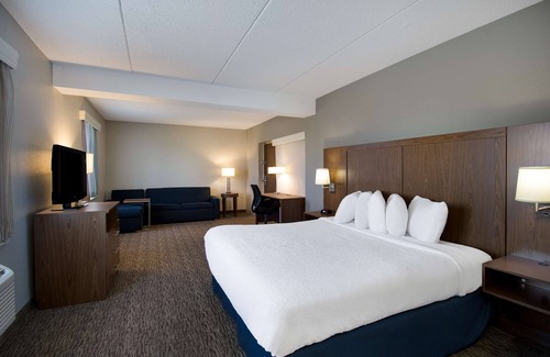 Superior Hotel | Best Western Bridgeview Hotel