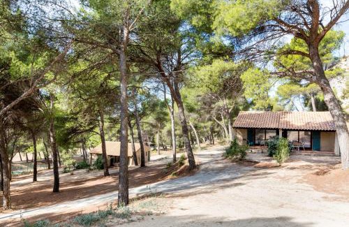 Salon-de-Provence Hotel | Best Western Domaine de Roquerousse
