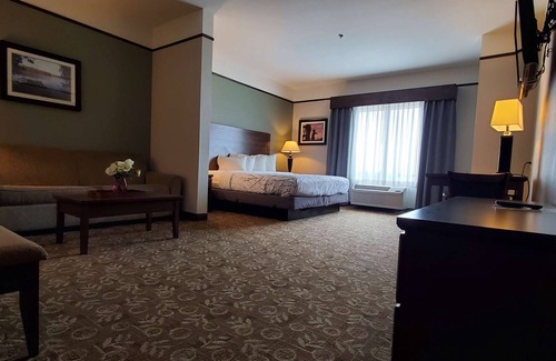 Emory Hotel | Best Western Plus Emory At Lake Fork Inn & Suites