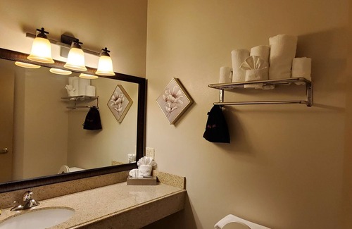 Emory Hotel | Best Western Plus Emory At Lake Fork Inn & Suites