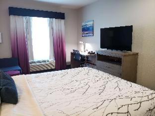 Converse Hotel | Best Western Plus San Antonio East Inn & Suites