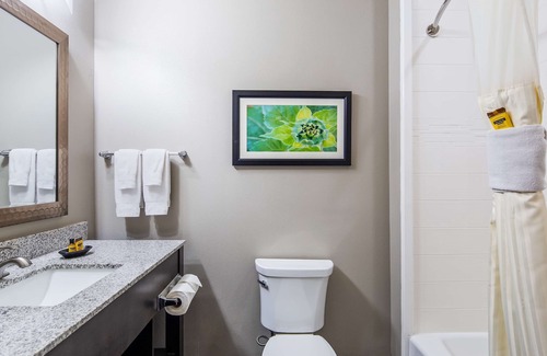 North by Northwest Hotel | Best Western Plus Tech Medical Center Inn