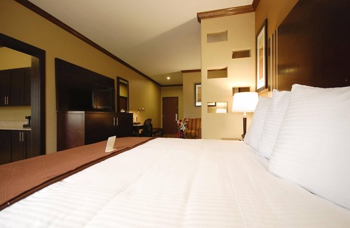 Denison Hotel | Best Western Plus Texoma Hotel & Suites
