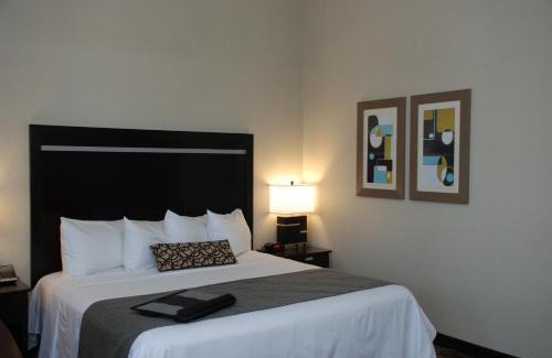 Airport Corporate Hotel | Best Western Plus Travel Hotel Toronto Airport