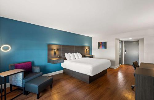 Little Rock Hotel | Best Western Shackleford