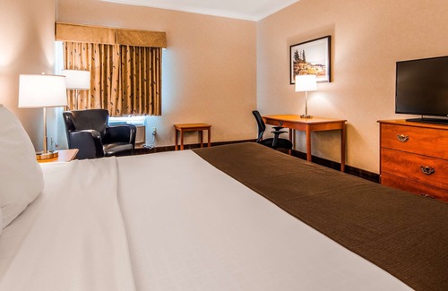Thunder Bay Hotel | Best Western Thunder Bay Crossroads