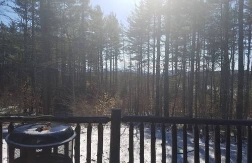 Saranac Lake House | Betsy's Wildlife Retreat